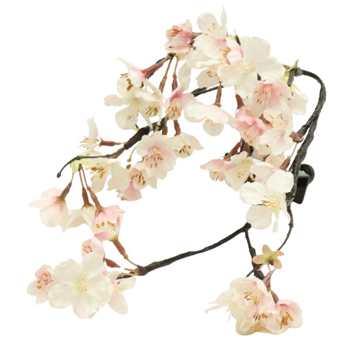飾った時の目安幅23×奥行25×高さ18cm雛道具 桜橘1個みやこ桜 金具付挟みこみタイプ（最大2cm）評価ランク：B62点