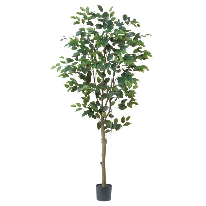 人工観葉植物 ファイカス （ポット付き） グリーン 高さ155cm （P285-a51043) （代引き不可） インテリアグリーン フェイクグリーン