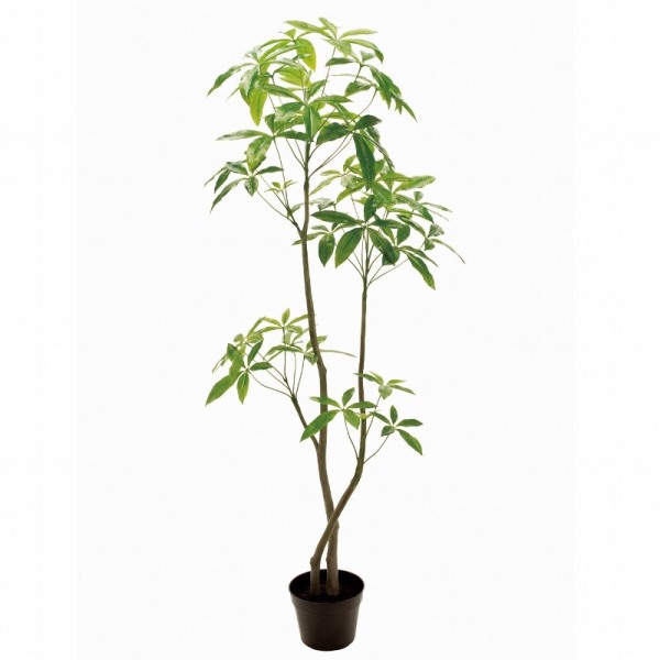人工観葉植物 パキラ 6F 高さ180cm （P199-fg12100) （代引き不可） インテリアグリーン フェイクグリーン