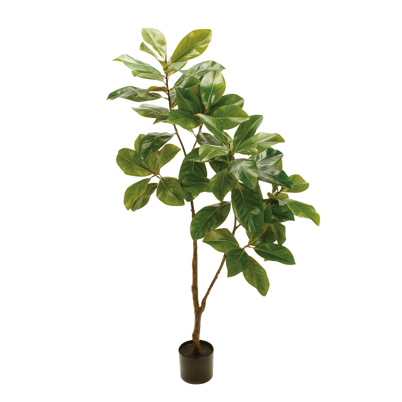 人工観葉植物 マグノリアリ−フ ポット 光触媒加工 高さ150cm （P199-zv130) （代引き不可） インテリアグリーン フェイクグリーン