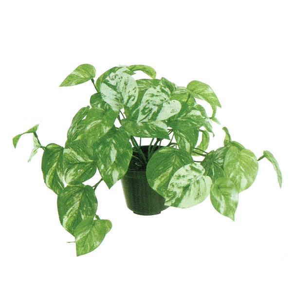 人工観葉植物 マーブルポトス ポット 光触媒加工 高さ22cm （P190-zv9015) （代引き不可） インテリアグリーン フェイクグリーン