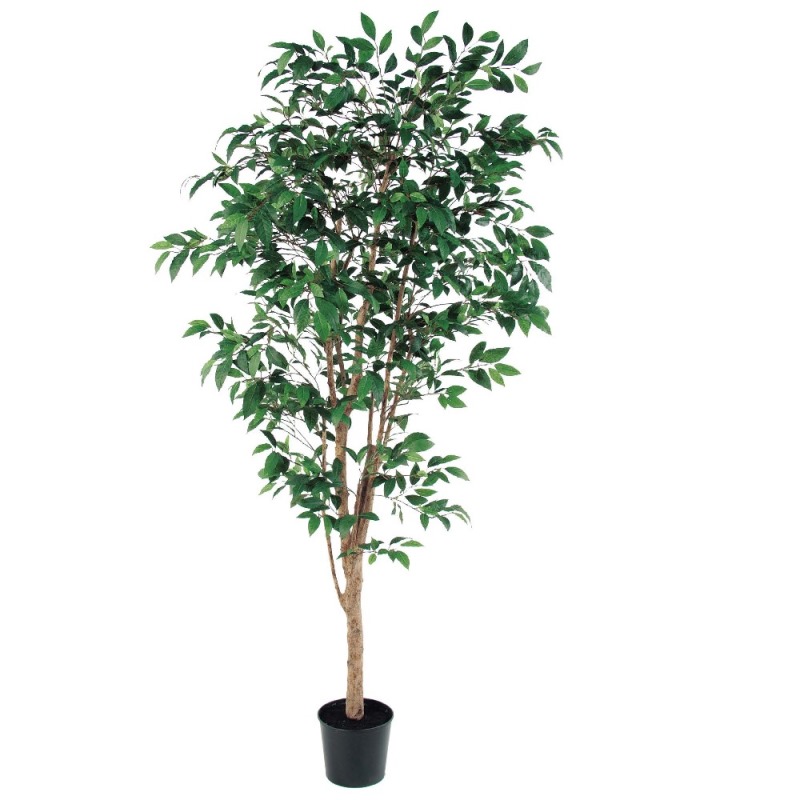 人工観葉植物 ファイカスツリー （ポット付き） 高さ215cm （P279-a50774) （代引き不可） インテリアグリーン フェイクグリーン