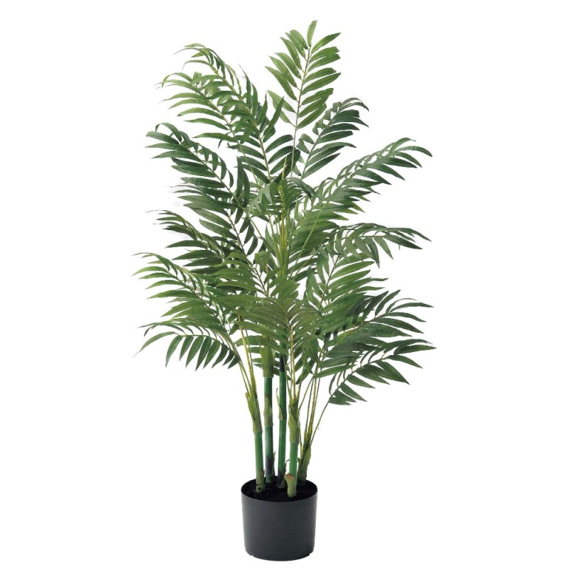 人工観葉植物 アラリア （ポット付き） 高さ155cm （P282-a50908) （）
