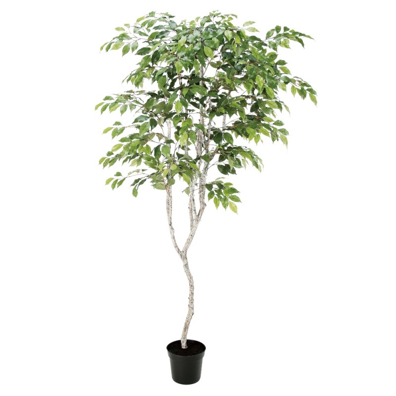 人工観葉植物 ファイカスツリー （ポット付き） 高さ182cm （P279-a50881) （代引き不可） インテリアグリーン フェイクグリーン