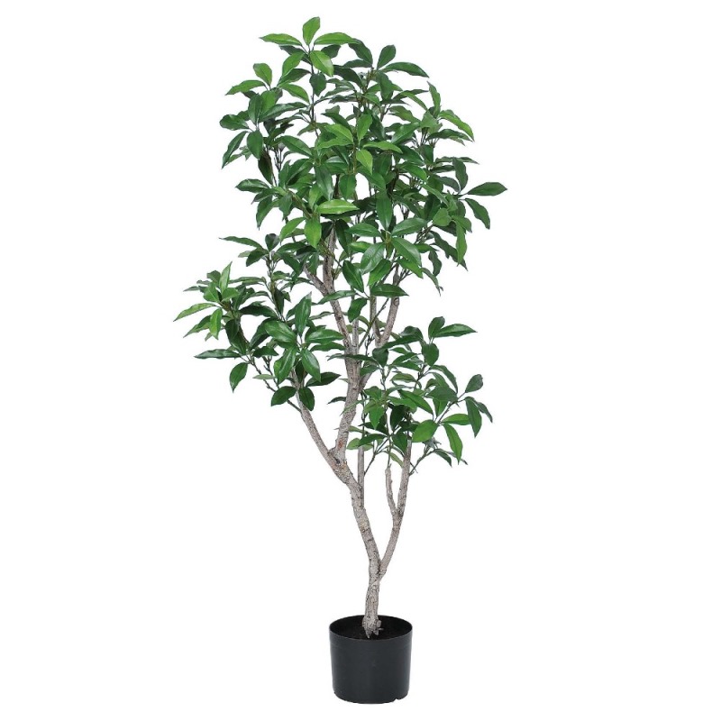 人工観葉植物 ローレルツリー （ポット付き） 高さ135cm （P276-a50912) （代引き不可） インテリアグリーン フェイクグリーン