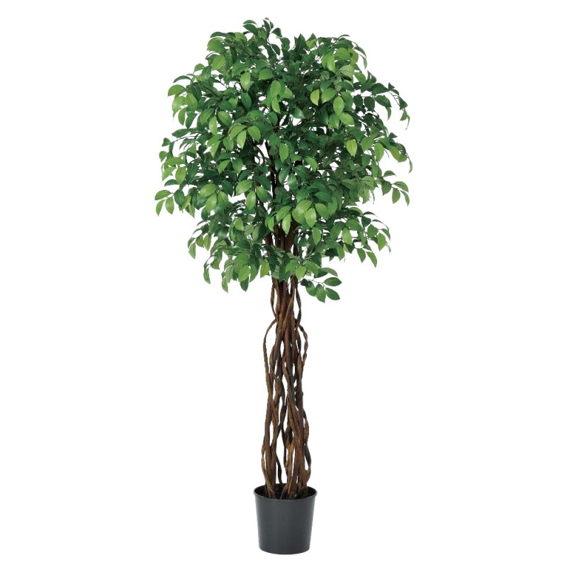 人工観葉植物 サカキツリー （ポット付き） 高さ185cm （P288-a50952) （代引き不可） インテリアグリーン フェイクグリーン