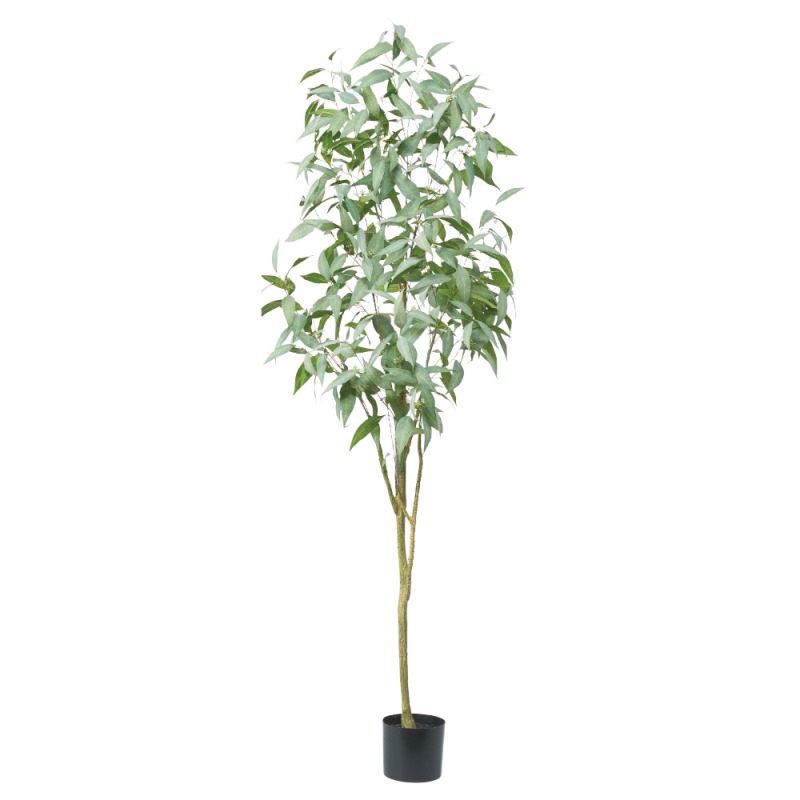 人工観葉植物 ユーカリ （ポット付き） 高さ200cm （P283-a51040) （代引き不可） インテリアグリーン フェイクグリーン