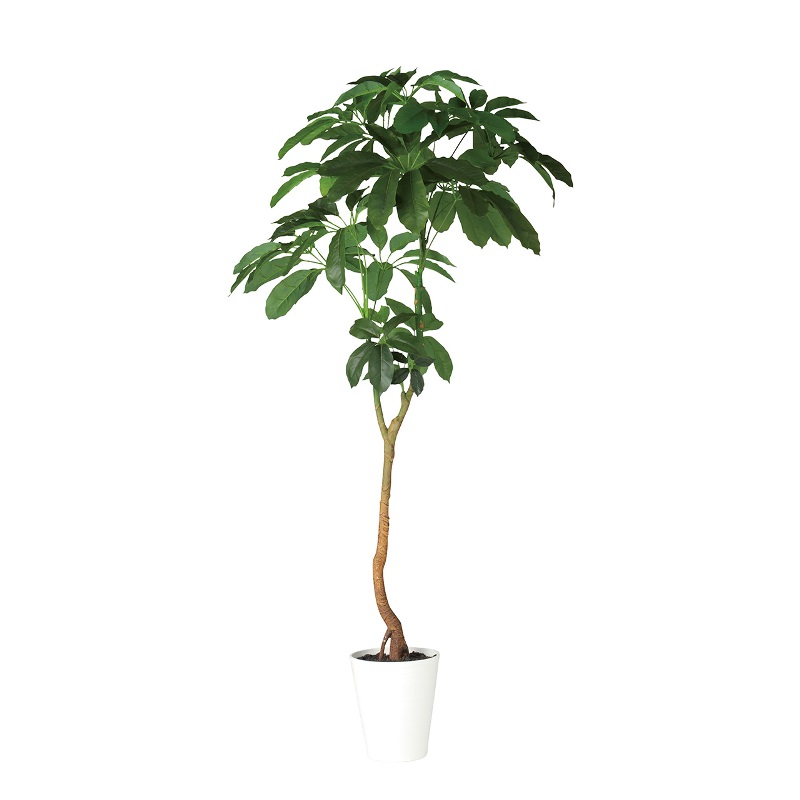 人工観葉植物 ブラッサイア 210cm 高さ210cm （P215-dt91882) （代引き不可） インテリアグリーン フェイクグリーン