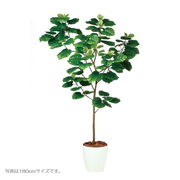 人工観葉植物 ウンベラータ FST 80cm 高さ80cm （P214-dt98923) （代引き不可） インテリアグリーン フェイクグリーン