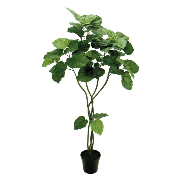 人工観葉植物 ウンベラータツイスト 5F 高さ150cm （P204-fg5226) （代引き不可） インテリアグリーン フェイクグリーン