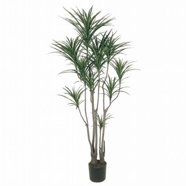 人工観葉植物 ユッカポット L 高さ185cm （P209-fg7648) （代引き不可） インテリアグリーン フェイクグリーン