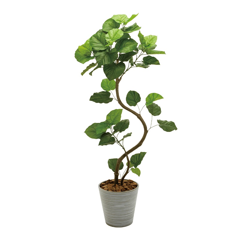 人工観葉植物 ウンベラータ スパイラル5F プランター入り 高さ160cm （P212-mgf5229) （代引き不可） インテリアグリーン フェイクグリー