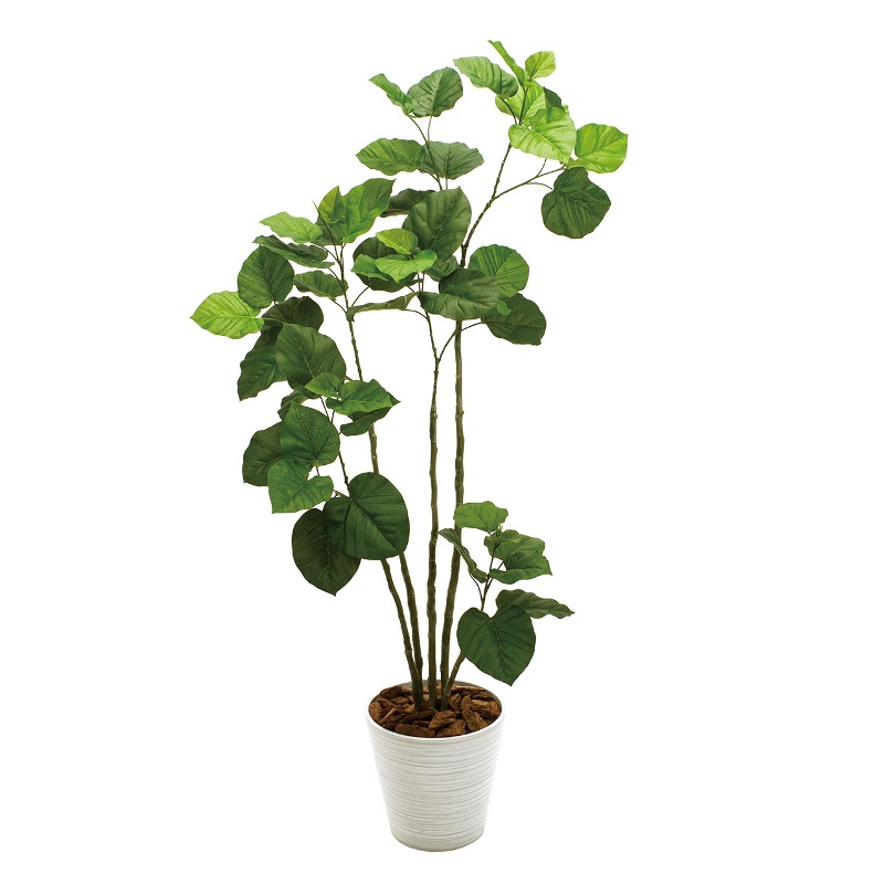 人工観葉植物 ウンベラータ プランター入り 高さ170cm （P212-mgf6227) （代引き不可） インテリアグリーン フェイクグリーン