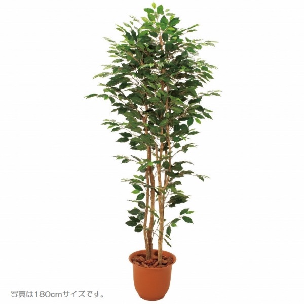 人工観葉植物 ベンジャミン3本立 150cm 高さ150cm （P213-sk1095) （代引き不可） インテリアグリーン フェイクグリーン