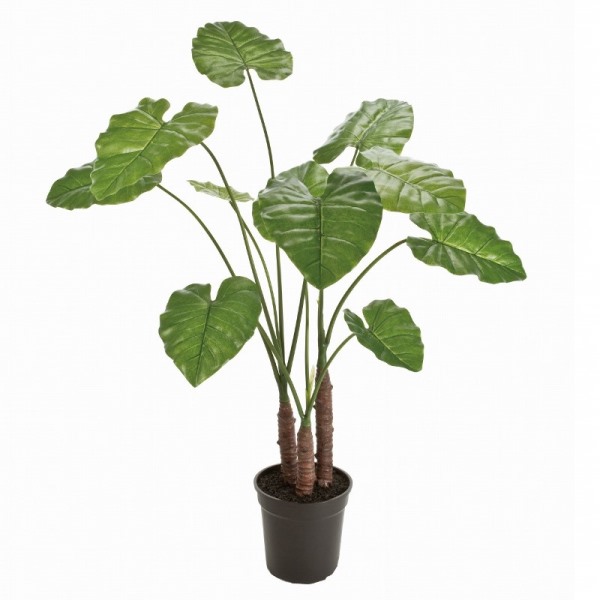 人工観葉植物 クワズイモ 光触媒加工 高さ100cm （P202-zv13000) （代引き不可） インテリアグリーン フェイクグリーン
