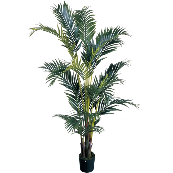 人工観葉植物 ケンチャパーム 光触媒加工 高さ140cm （P210-zv22401) （代引き不可） インテリアグリーン フェイクグリーン