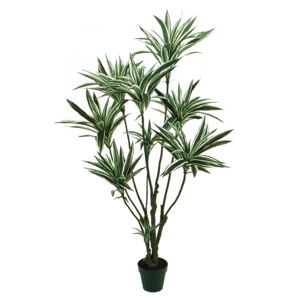人工観葉植物 ドラセナ 光触媒加工 高さ150cm （P209-zv25650) （代引き不可） インテリアグリーン フェイクグリーン