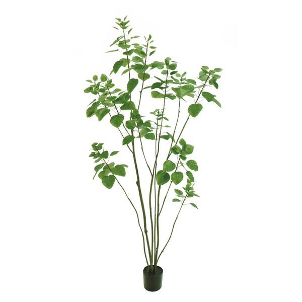 人工観葉植物 スモークツリー ポット 光触媒加工 高さ150cm （P207-zv5770) （代引き不可） インテリアグリーン フェイクグリーン