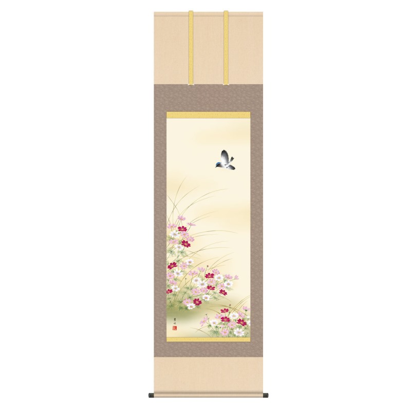 掛軸 日本画 花鳥画 緒方葉水 秋桜 (こすもす) 尺五 (KZ3A4-155) (代引き不可)