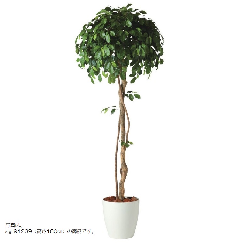 人工観葉植物 フィッカスベンシャミナシングル 200 natural ポット付き 高さ200cm （P58-91238) （代引き不可） インテリアグリーン フェ