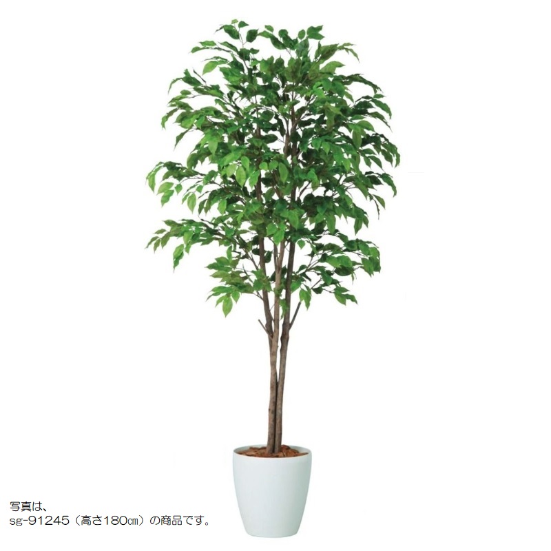 人工観葉植物 ベンシャミナスプラッシュトリプル 150 natural ポット付き 高さ150cm （P59-91246) （代引き不可） インテリアグリーン フ