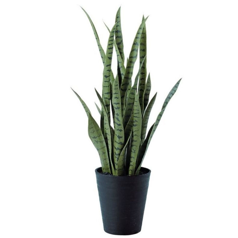 人工観葉植物 サンスベリア グリーン 80 ポット付き 高さ80cm （P66-91621) （代引き不可） インテリアグリーン フェイクグリーン