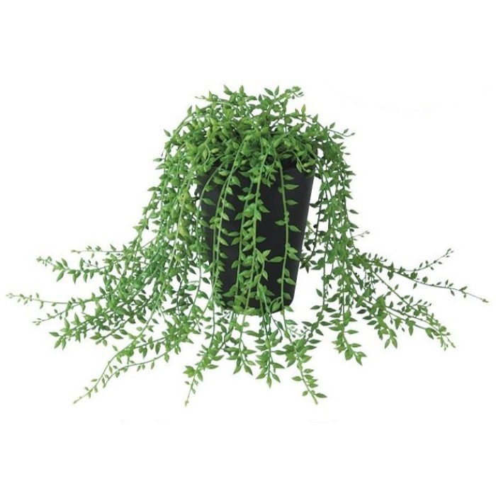 人工観葉植物 グリーンネックレス ポット付き 高さ20×長さ30cm （P99-91643) （代引き不可） インテリアグリーン フェイクグリーン