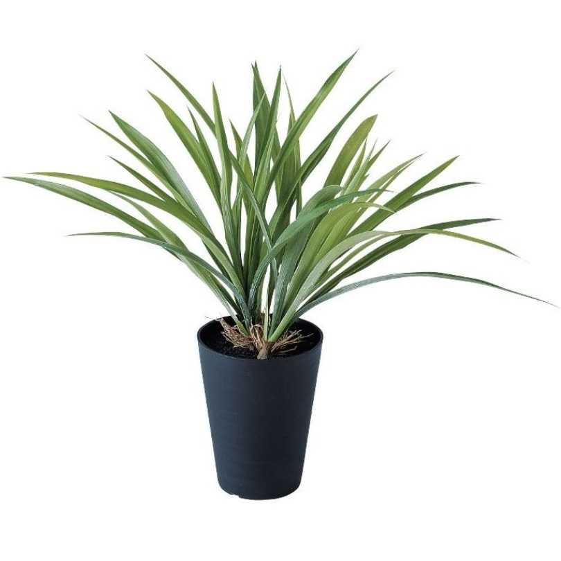 人工観葉植物 アオオリヅルラン ポット付き 高さ40cm （P97-91644) （代引き不可） インテリアグリーン フェイクグリーン