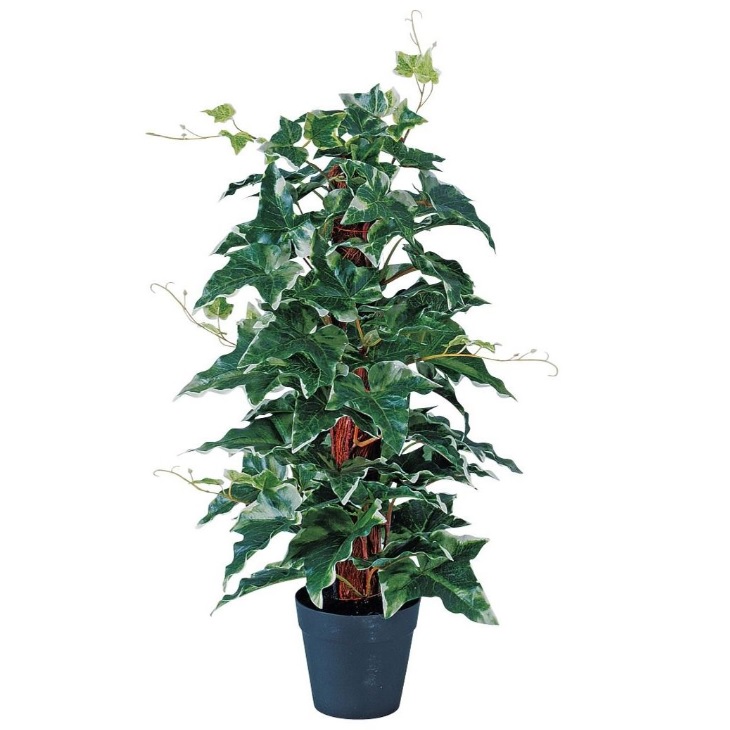 人工観葉植物 アイビーヘゴポット 簡易ポット付き 高さ45cm （P102-91658) （代引き不可） インテリアグリーン フェイクグリーン
