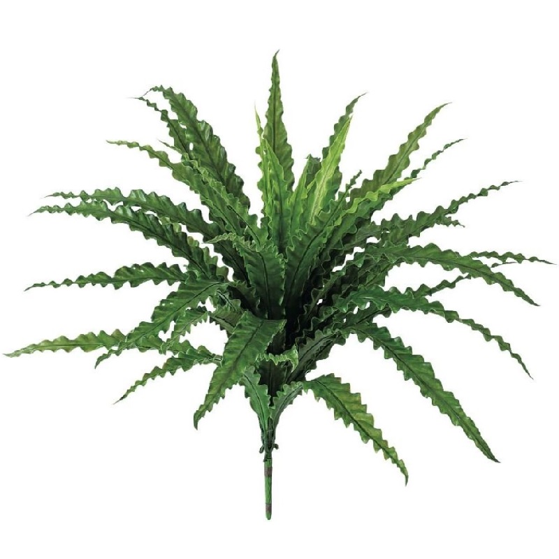 人工観葉植物 アスプレニウム L ブッシュ 長さ55cm （P136-91690) （代引き不可） インテリアグリーン フェイクグリーン