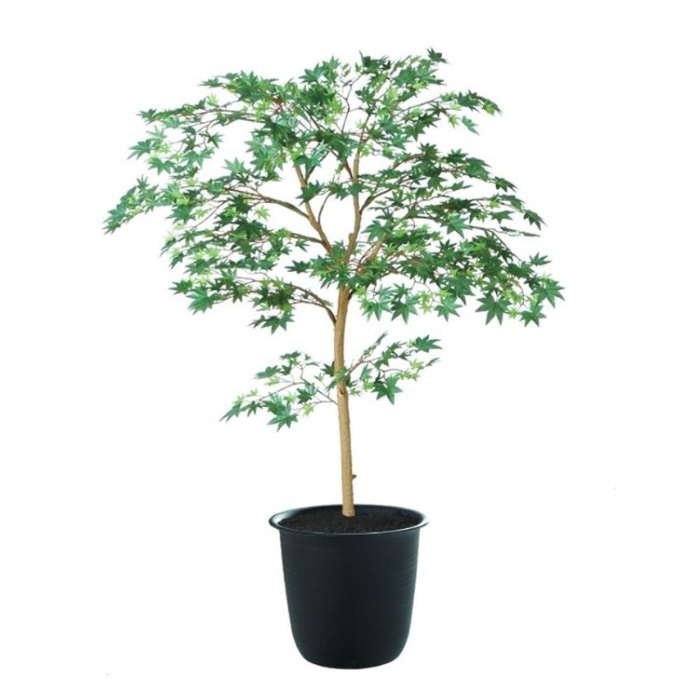 人工観葉植物 ヤマモミジ 100 GREEN FST ポット付き 高さ100cm （P123-91761) （代引き不可） インテリアグリーン フェイクグリーン