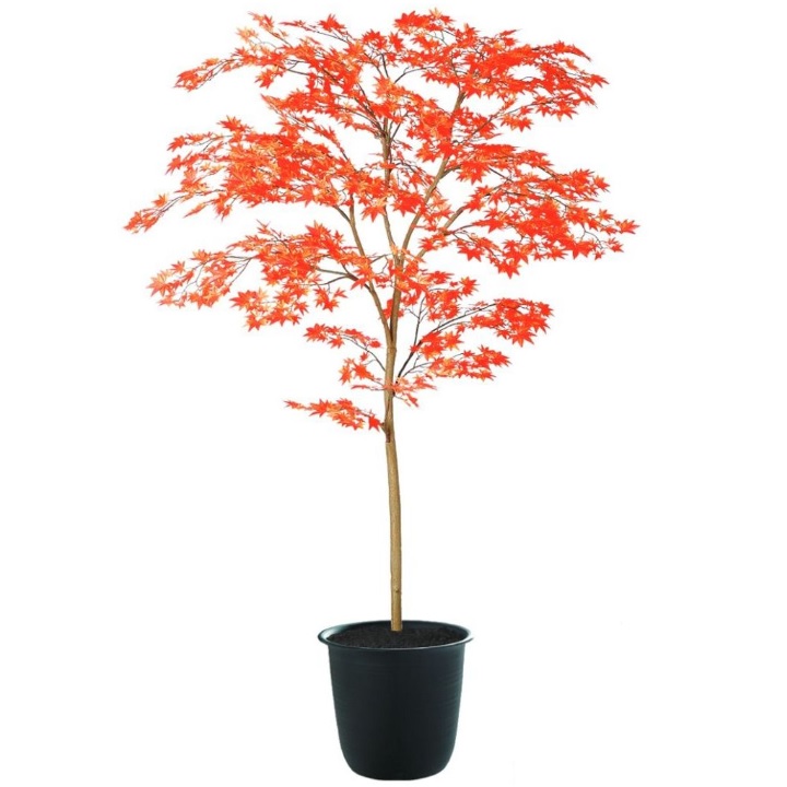 人工観葉植物 ヤマモミジ 150 RED FST ポット付き 高さ150cm （P125-91769) （代引き不可） インテリアグリーン フェイクグリーン