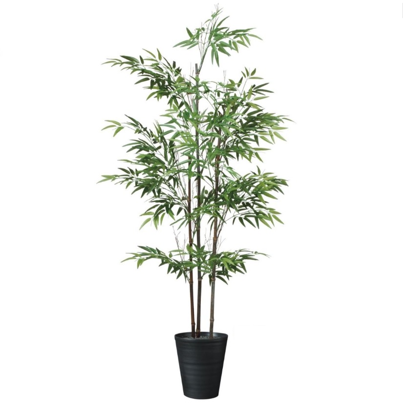 人工観葉植物 黒竹 3本立 180 ポット付き 高さ180cm （P127-91789) （代引き不可） インテリアグリーン フェイクグリーン