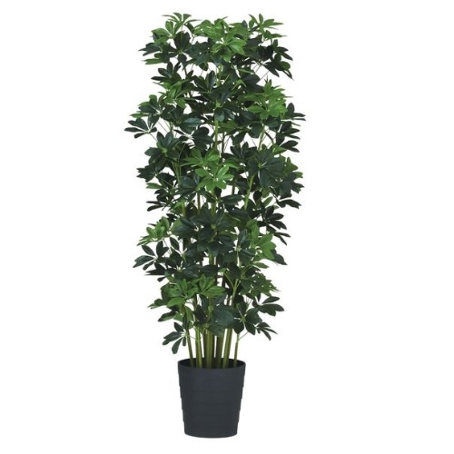 人工観葉植物 グリーンカポック 150 ポット付き 高さ150cm （P44-91826) （代引き不可） インテリアグリーン フェイクグリーン