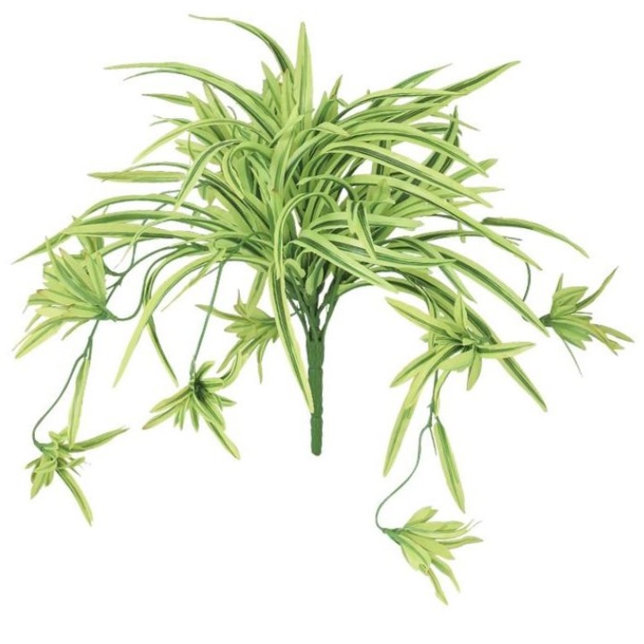 人工観葉植物 オリヅルラン G/Y ブッシュ 長さ25cm （P135-91841) （代引き不可） インテリアグリーン フェイクグリーン
