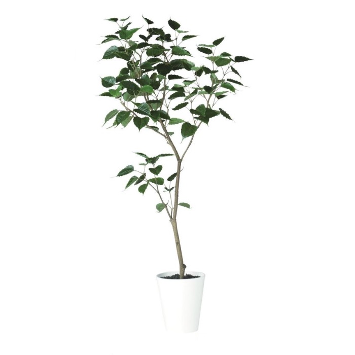 人工観葉植物 インドボダイジュ FST 180 ポット付き 高さ180cm （P46-91855) （代引き不可） インテリアグリーン フェイクグリーン