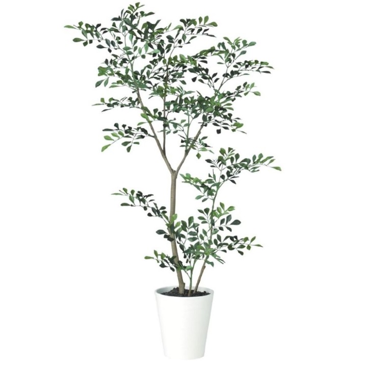 人工観葉植物 トネリコ FST 120 ポット付き 高さ120cm （P76-91886) （代引き不可） インテリアグリーン フェイクグリーン
