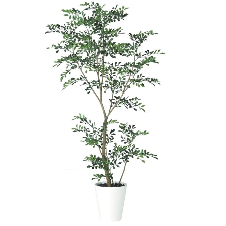 人工観葉植物 トネリコ FST 150 ポット付き 高さ150cm （P76-91887) （代引き不可） インテリアグリーン フェイクグリーン