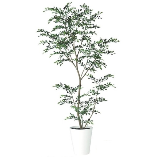 人工観葉植物 トネリコ FST 180 ポット付き 高さ180cm （P76-91888) （代引き不可） インテリアグリーン フェイクグリーン