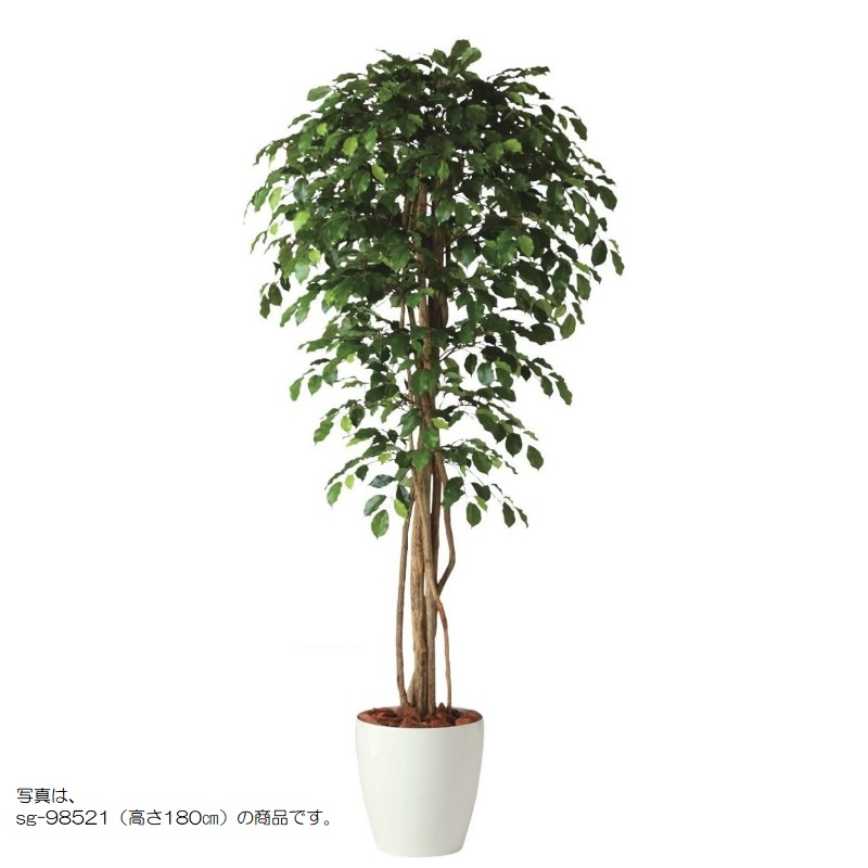 人工観葉植物 フィッカスベンシャミナリアナ 150 natural ポット付き 高さ150cm （P58-98522) （代引き不可） インテリアグリーン フェイ