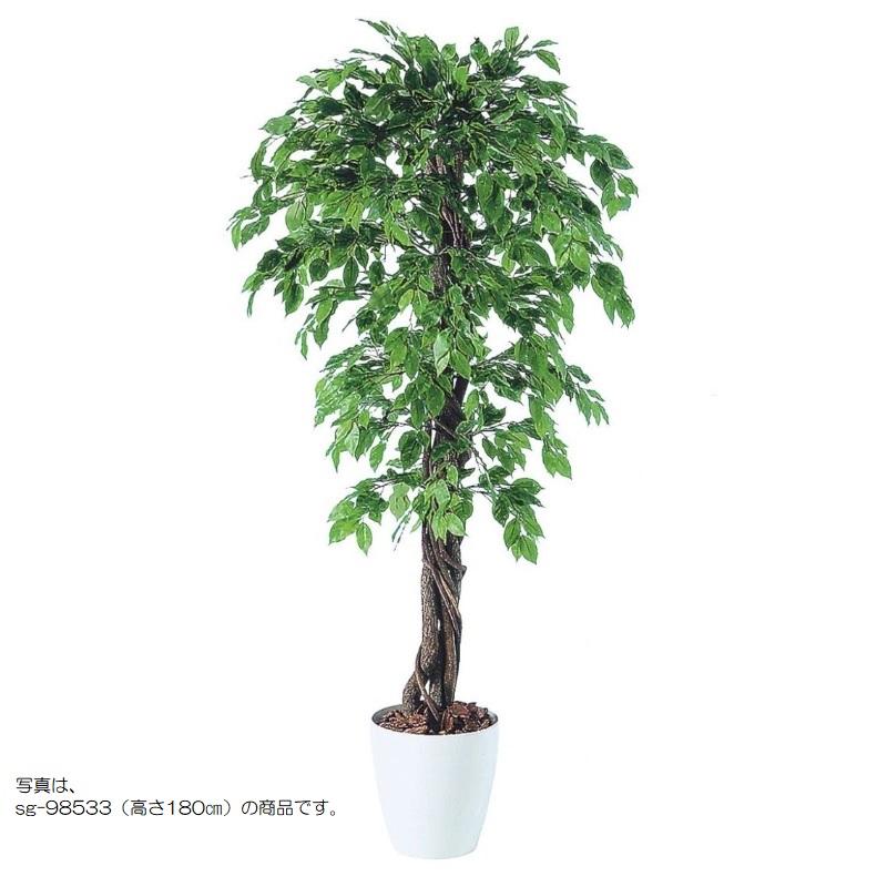 人工観葉植物 ベンシャミナスプラッシュリアナ 200 natural ポット付き 高さ200cm （P59-98532) （代引き不可） インテリアグリーン フェ
