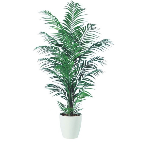 人工観葉植物 アカシヤシ 180 ポット付き 高さ180cm （P87-98548) （代引き不可） インテリアグリーン フェイクグリーン