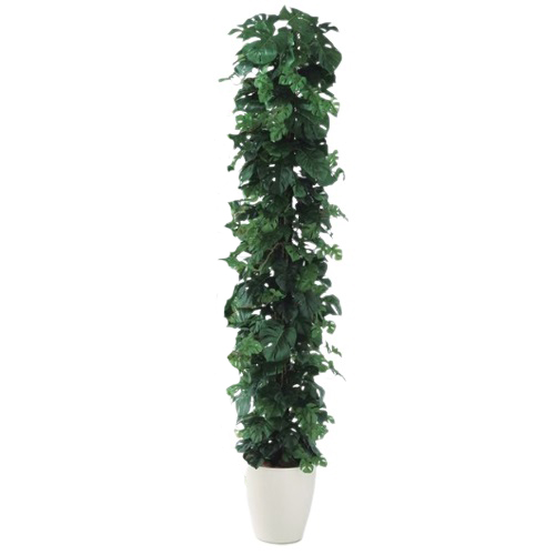 人工観葉植物 ヒメモンステラヘゴ -DX 180 Pole style ポット付き 高さ180cm （P71-98651) （代引き不可） インテリアグリーン フェイク