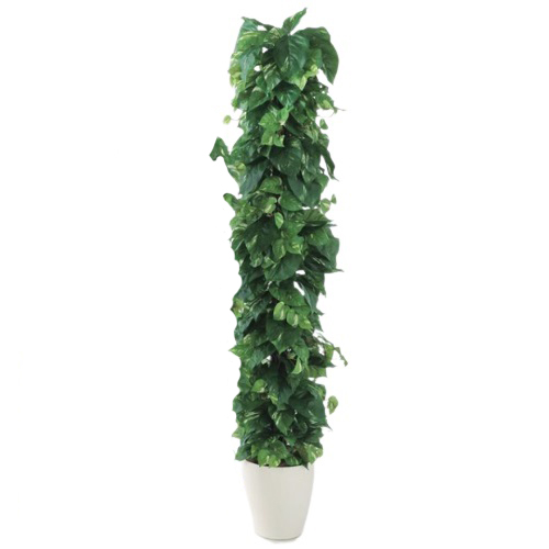 人工観葉植物 ポトスヘゴ -DX 180 Pole style ポット付き 高さ180cm （P71-98655) （代引き不可） インテリアグリーン フェイクグリーン