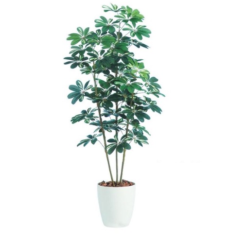 人工観葉植物 シェフレラ 150 ポット付き 高さ150cm （P44-98892) （代引き不可） インテリアグリーン フェイクグリーン