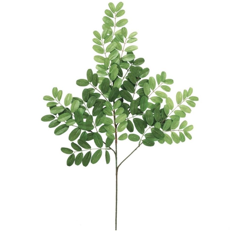 人工観葉植物 アカシア スプレー 長さ72cm （P145-99025) （代引き不可） インテリアグリーン フェイクグリーン