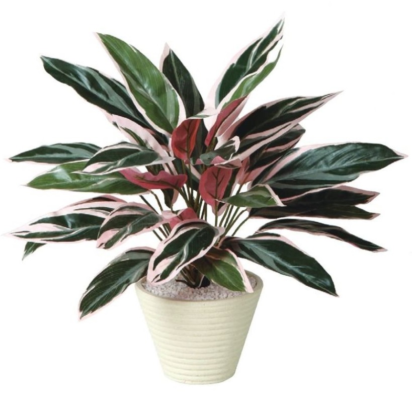 人工観葉植物 トリオスター ポット付き 高さ40cm （P112-99057) （代引き不可） インテリアグリーン フェイクグリーン