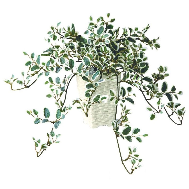 人工観葉植物 プミラ ポット付き 高さ25cm （P106-99060) （代引き不可） インテリアグリーン フェイクグリーン