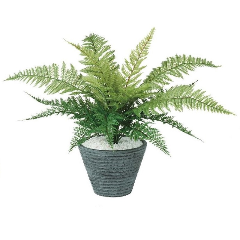 人工観葉植物 レザーファンブッシュ ポット付き 高さ35cm （P99-99206) （代引き不可） インテリアグリーン フェイクグリーン
