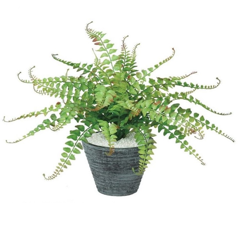 人工観葉植物 ワイルドグラスファン ポット付き 高さ35cm （P99-99207) （代引き不可） インテリアグリーン フェイクグリーン